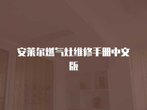 安萊爾燃?xì)庠罹S修手冊中文版