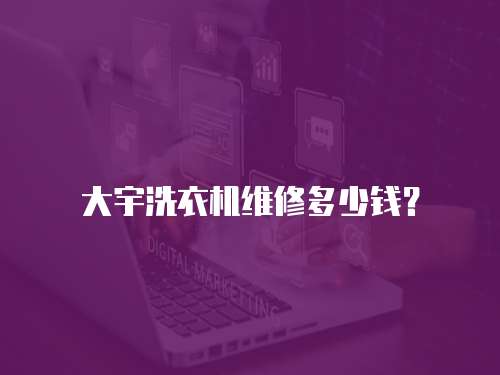 大宇洗衣機維修多少錢？