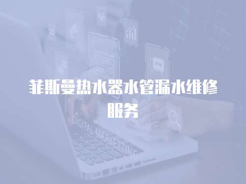 菲斯曼熱水器水管漏水維修服務(wù)