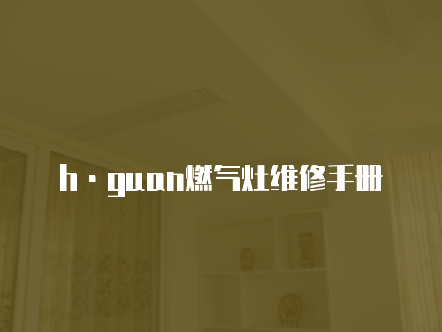h·guan燃?xì)庠罹S修手冊