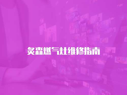 炙森燃?xì)庠罹S修指南