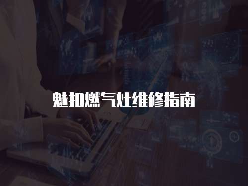 魅扣燃?xì)庠罹S修指南