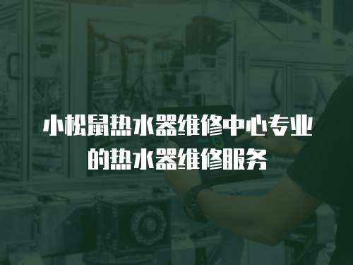 小松鼠熱水器維修中心專業(yè)的熱水器維修服務(wù)