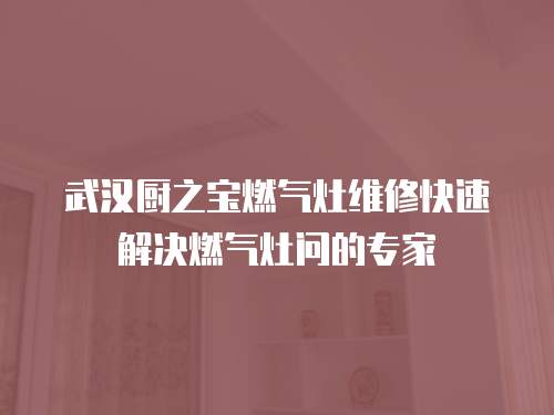 武漢廚之寶燃氣灶維修快速解決燃氣灶問的專家