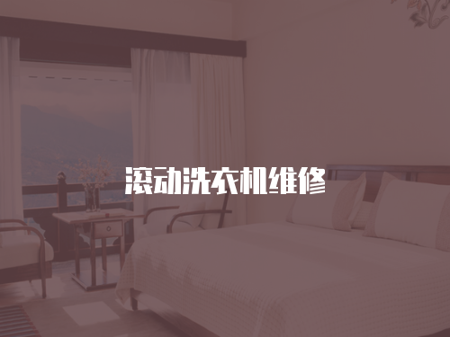 滾動洗衣機維修