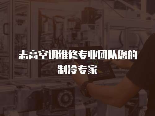 志高空調(diào)維修專業(yè)團(tuán)隊(duì)您的制冷專家
