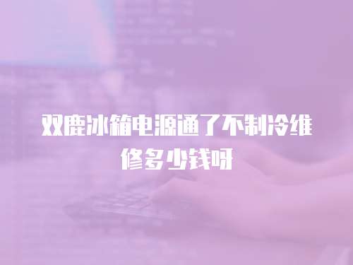 雙鹿冰箱電源通了不制冷維修多少錢呀