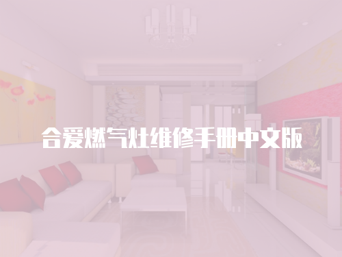 合愛燃氣灶維修手冊中文版