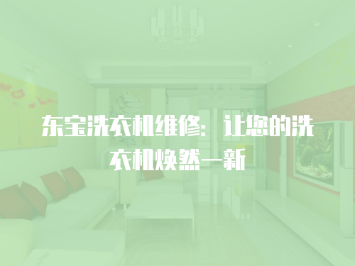 東寶洗衣機維修：讓您的洗衣機煥然一新