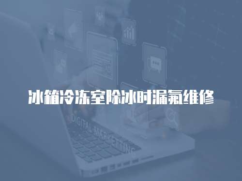 冰箱冷凍室除冰時漏氟維修