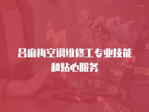 呂麻梅空調維修工專業技能和貼心服務