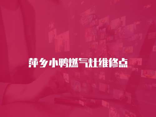 萍鄉小鴨燃氣灶維修點