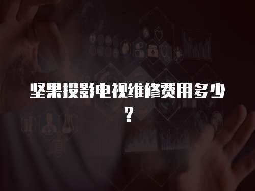 堅果投影電視維修費用多少？