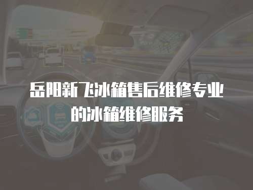 岳陽(yáng)新飛冰箱售后維修專(zhuān)業(yè)的冰箱維修服務(wù)