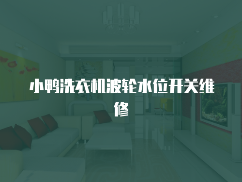 小鴨洗衣機波輪水位開關維修
