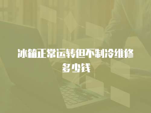 冰箱正常運轉(zhuǎn)但不制冷維修多少錢