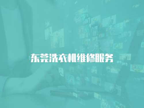 東莞洗衣機維修服務