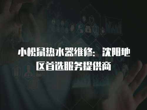小松鼠熱水器維修：沈陽地區首選服務提供商