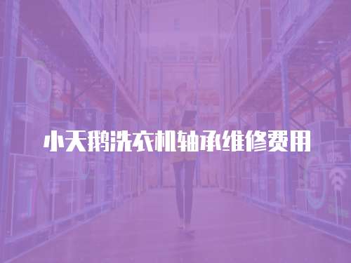 小天鵝洗衣機軸承維修費用