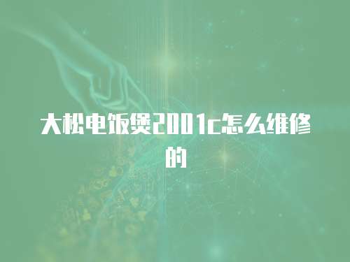 大松電飯煲2001c怎么維修的