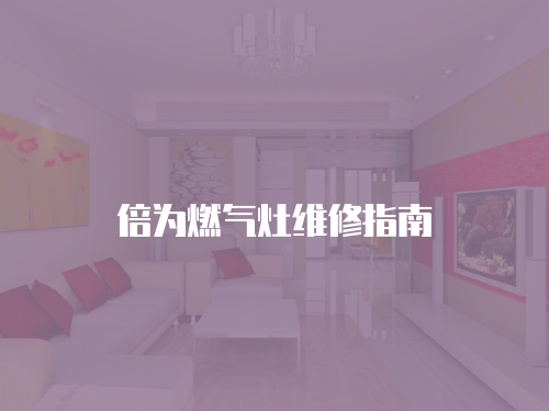倍為燃?xì)庠罹S修指南