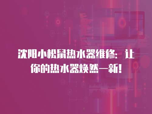 沈陽小松鼠熱水器維修：讓你的熱水器煥然一新！