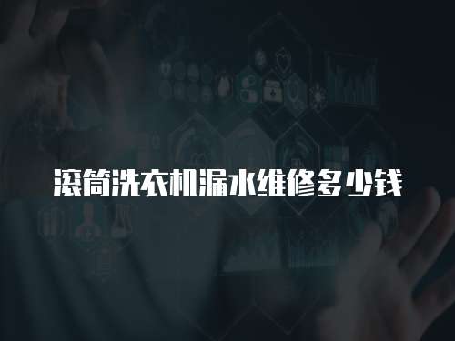 滾筒洗衣機漏水維修多少錢