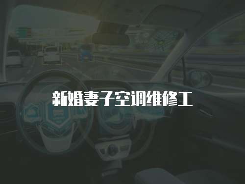 新婚妻子空調維修工