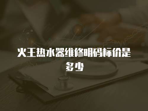 火王熱水器維修明碼標價是多少