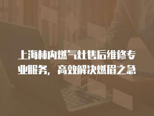 上海林內燃氣灶售后維修專業服務，高效解決燃眉之急