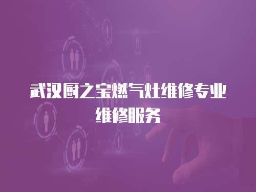 武漢廚之寶燃氣灶維修專業維修服務