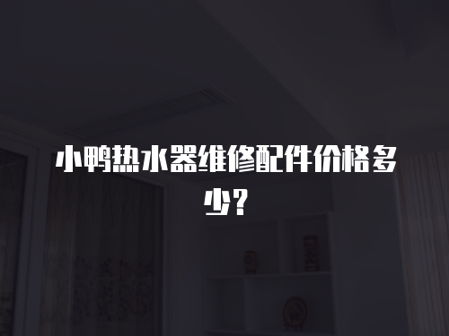 小鴨熱水器維修配件價格多少？