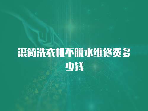 滾筒洗衣機不脫水維修費多少錢