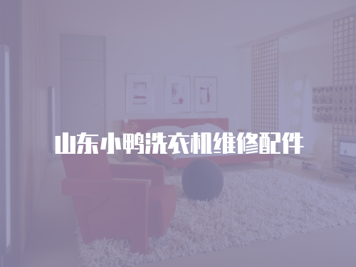 山東小鴨洗衣機維修配件