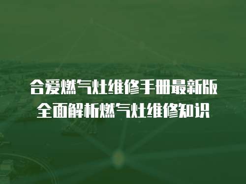 合愛(ài)燃?xì)庠罹S修手冊(cè)最新版全面解析燃?xì)庠罹S修知識(shí)