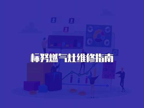 標努燃氣灶維修指南