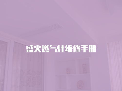 盛火燃氣灶維修手冊
