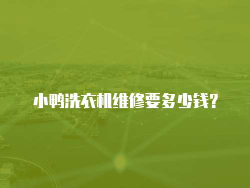 小鴨洗衣機維修要多少錢？