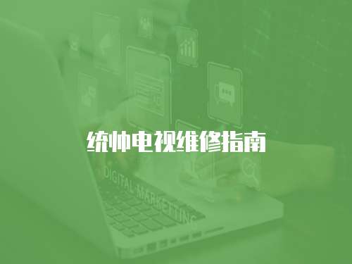 統帥電視維修指南