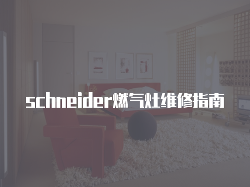 schneider燃?xì)庠罹S修指南