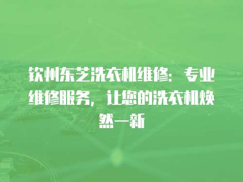 欽州東芝洗衣機維修：專業維修服務，讓您的洗衣機煥然一新
