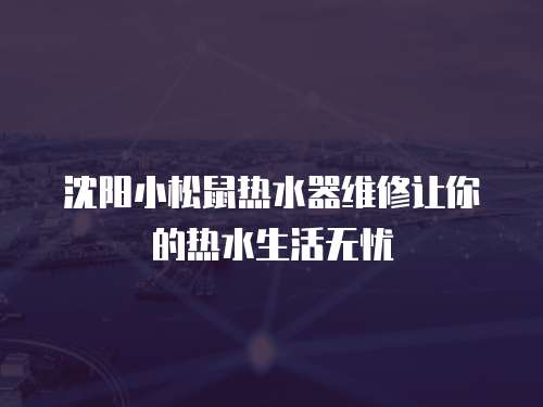 沈陽小松鼠熱水器維修讓你的熱水生活無憂
