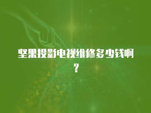 堅果投影電視維修多少錢啊？