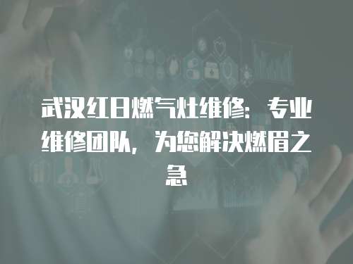 武漢紅日燃?xì)庠罹S修：專業(yè)維修團隊，為您解決燃眉之急
