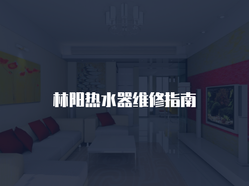 林陽熱水器維修指南