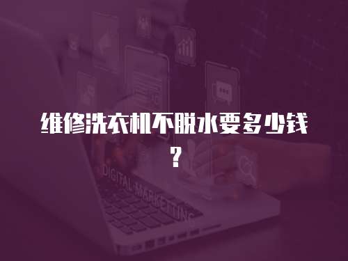 維修洗衣機不脫水要多少錢？
