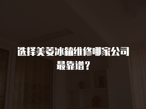 選擇美菱冰箱維修哪家公司最靠譜？