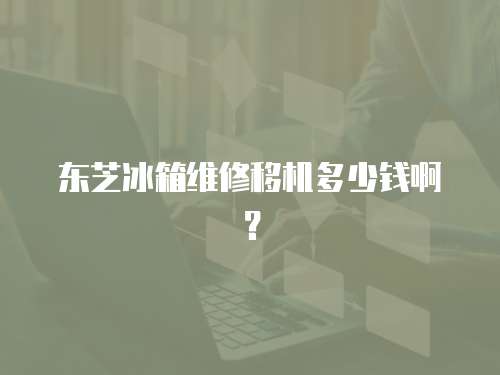東芝冰箱維修移機多少錢啊？