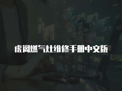 虎閣燃?xì)庠罹S修手冊中文版