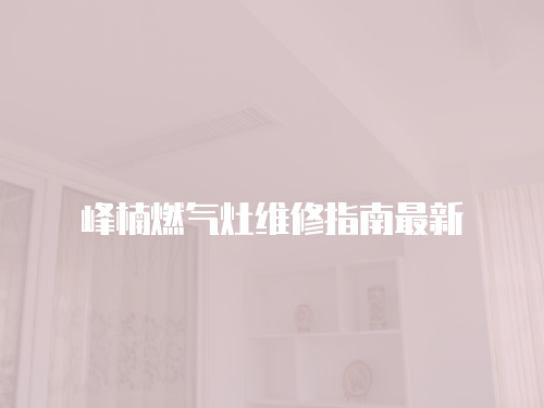 峰楠燃?xì)庠罹S修指南最新